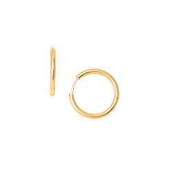 Osa Jewels Giry Earrings PVD Gold